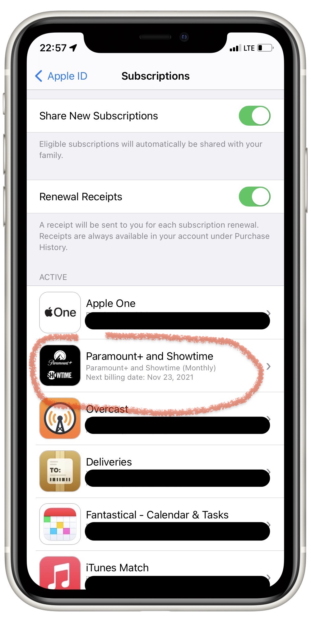 The Subscriptions page of the Settings: AppleID/ iCloud app. You can clearly see all subscriptions listed. Click on a subscription to see details.